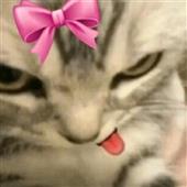 Cổ