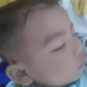 Alib