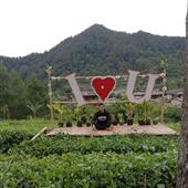 Tướn