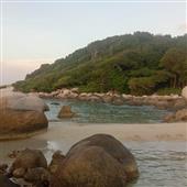 Yêu 