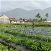 Thuậ