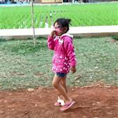 Game