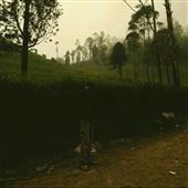 Ngọ