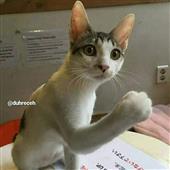 Thắn