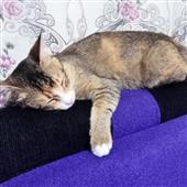 Bảng