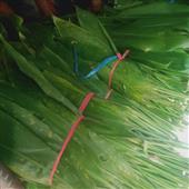 Thần