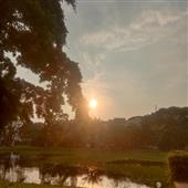 Hải 