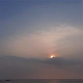 Chuố