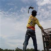 NỮ H