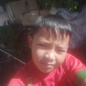 Trực