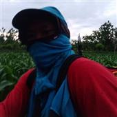 Cuộc 