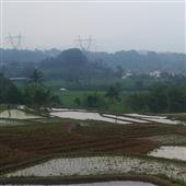 【Bản