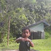 Cúp 