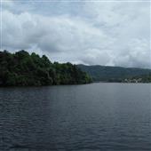 Cây 