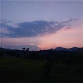 Hàng