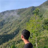 Rever
