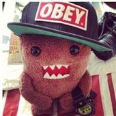 theS