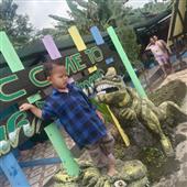 Bu