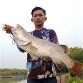 Cờ 