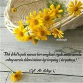 Bản