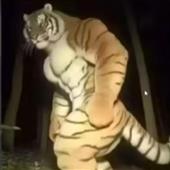 5 ha