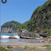 Vươn