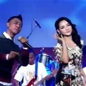 Gậy