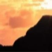 Gi