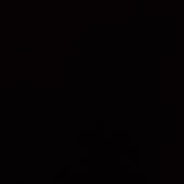 Wo