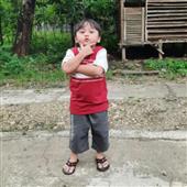 Trực