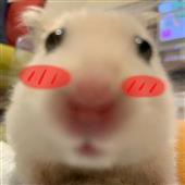 Tran