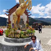 Gấu 