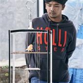 Đổ x