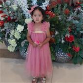 Anim