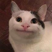 Gob