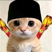 Nông