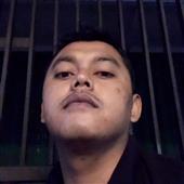 đội 