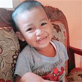 Trực