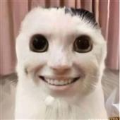 Anh