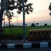 Kho 