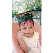 Cung 