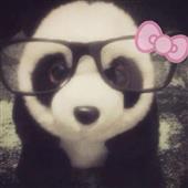 Giải 