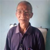 Trực
