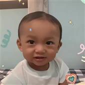 Bò q