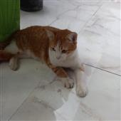 Đoạt