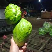 KHO 