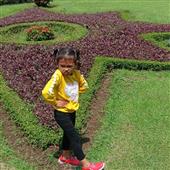 Luật