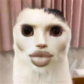 Soi k
