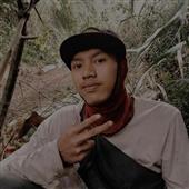 Gấu 
