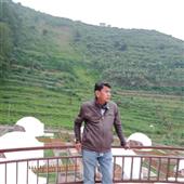 Trực